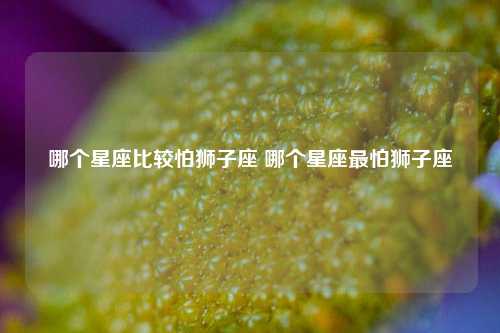 狮子座最怕什么星座图片